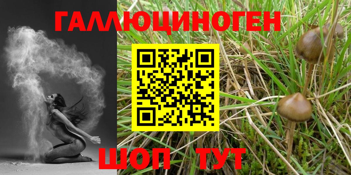 Галлюциногенные грибы GOLDEN TEACHER  Вход с VPN  Йошкар-Ола 